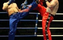 У травні в Криму проведуть Всеукраїнські ігри бойових мистецтв
