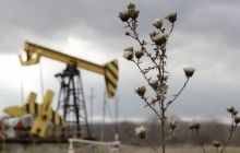 Саудівський принц: ціна на нафту більше ніколи не підніметься до $100