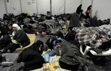 Губернатори 24 штатів США відмовилися приймати сирійських біженців