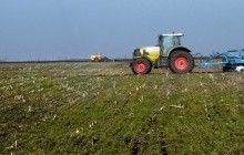 Суд визнав незаконним рішення Тернопільської міськради про продаж землі