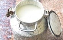 Ученые рассказали о новой опасности, связанной с употреблением молока