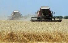 Агросектор формує 17-18% української економіки - Гройсман