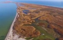 Директор заповедника "Тузловские лиманы" Русев решил уйти в отставку