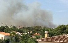 В Іспанії вирує лісова пожежа (фото)