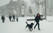 В Украине объявили штормовое предупреждение на 8 декабря