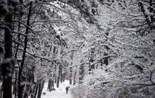 В Україні сьогодні практично без опадів, на сході до -6° (карта)