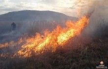 Рятувальники попереджають про високу пожежну небезпеку в Україні