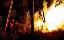 Число жертв лесных пожаров в Португалии выросло до 62