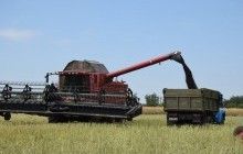 Українські аграрії намолотили майже 15 мільйонів тонн зернових