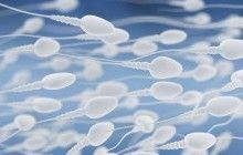 Донор сперми у Голландії виявився біологічним батьком понад 100 дітей