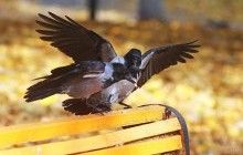 У вівторок вітер в Україні вщухне, але стане ще холодніше (карта)