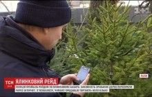 У Львові правоохоронці провели рейд на ялинковому ринку (відео)