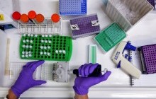 Пізня вечеря може підвищити ризик розвитку двох типів раку - вчені