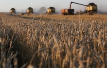 Ukraine harvests over 20 mln tonnes of new grain