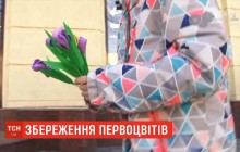 У Дніпрі діти роздали перехожим півтисячі штучних крокусів (відео)