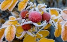 Синоптики пообіцяли українцям мороз до -9°: які області під ударом