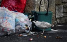 Кліматичні біженці. Чому на екологічні проблеми в Україні більше не можна закривати очі