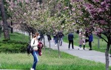 В Киеве сегодня температура до +16°, без осадков