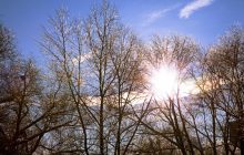 Поздравления с днем зимнего солнцестояния 2022: самые яркие картинки