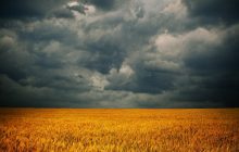 В Україну йдуть грози: оголошено попередження