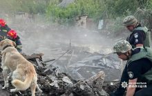 На Донетчине собака ждет хозяев на руинах дома (фото, видео)
