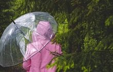 Дощові фронти охоплять Україну: сухо буде лише у двох областях
