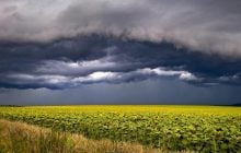 Народный праздник 23 июля: почему этот день считают счастливым