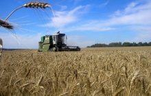 Мінагрополітики підвищило прогноз врожаю зерна: скільки можемо зібрати