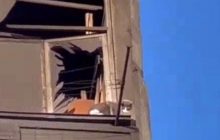 В Умані з балкону "страшної" багатоповерхівки врятували кота (відео)