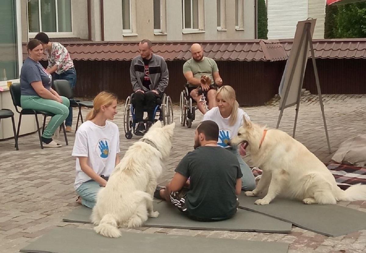 До каністерапії частіше долучають собак-компаньйонів / фото з Facebook-сторінки P4P До каністерапії частіше долучають собак-компаньйонів / фото з Facebook-сторінки P4P