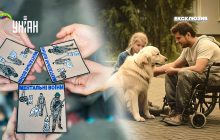 Хвостаті цілителі: як собаки допомагають у реабілітації військових