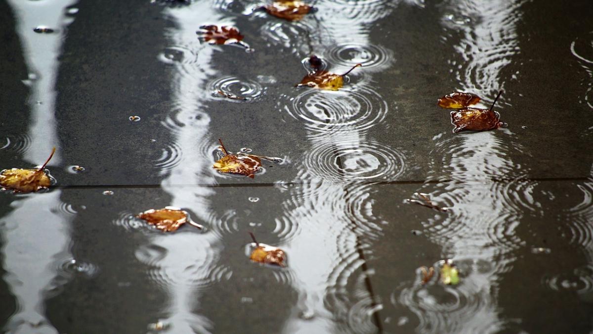 31 жовтня в Києві може покапати невеликий дощ / фото Pixabay 31 жовтня в Києві може покапати невеликий дощ / фото Pixabay