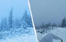 В Карпатах мороз -5°, сразу в двух областях Украины выпал снег (фото, видео)