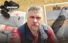"Через війну деякі червонокнижні птахи зникають з України - переселяються до РФ, бо там спокійніше, ніж на лінії фронту", - орнітолог Олександр Пономаренко