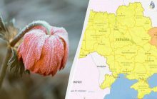 Найближчої ночі в Україні будуть заморозки: де чекати "мінусів" (карта)