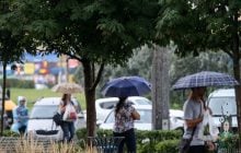 Сьогодні майже всю Україну заллють дощі з грозами (карта)